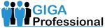 Image GigaProfessional Partners Inc.